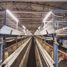 Farming factory lighting application-waterproof tube