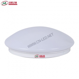 Ceiling induction emergency light 18 / 24W